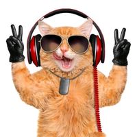 оригинальный звук