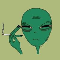 chino_jr19plkz