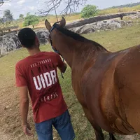 original sound - vagnercavalcanti13