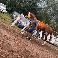 lucianonavarro221
