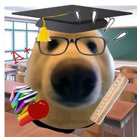 Why are boomers using this sound