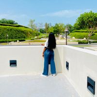 lindajohn861