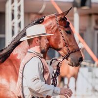 funcho_domador