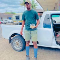 bongywezintohomeinterior