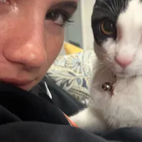 original sound - catmommy369