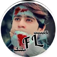 original sound - .fl355