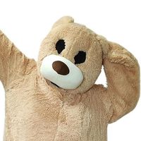 dancingbear_official