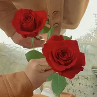 original sound - 2005lolo5