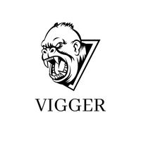 vigger.og