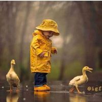 juniorboy1381