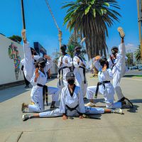 fusion_tkd
