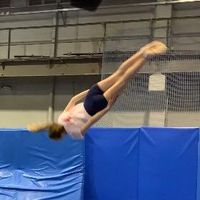 gyymeloise