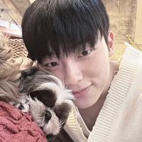 original sound - aria