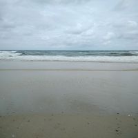 tiktokeuses_tiktokeurs