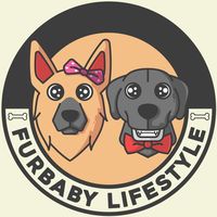 furbabylifestyle