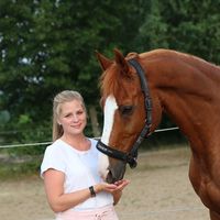 mellis.reitschule