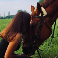 showjumping._.lissabon