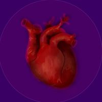 for the transmascs ONLY