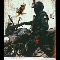 aguila3.1416