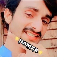 ameer_hamza_380