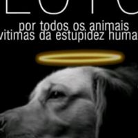 .aesthetic_girl________