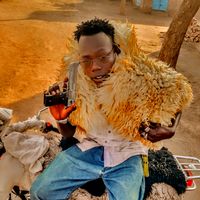 الصوت الأصلي