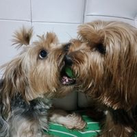 jack_y_mia