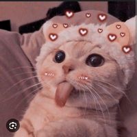 sonia_michisx928