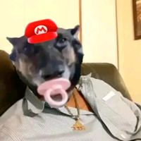 andres_bltrn