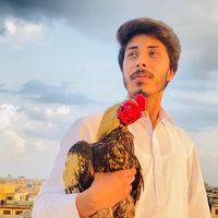 zainsyed117