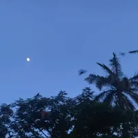 original sound - michell..a