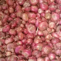 original sound - utilisateurano0