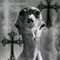 original sound - spoty152010