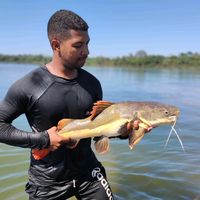 uesleicarvalho12