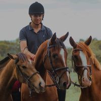 dn_equestrian