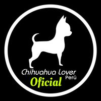 chihuahualover.peru