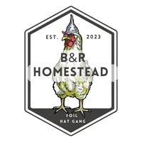 original sound - bandrhomestead