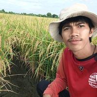 king_05588