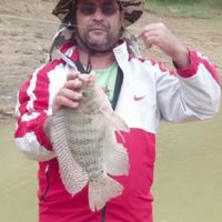 pescacaipira4