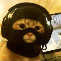 Dinastía Larios Musical