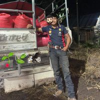alex_cc5191