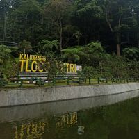 suara asli - A_Rumaa