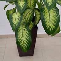 katebebeya84gmail.com