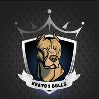 krato_bull