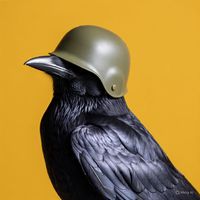 original sound - Crow