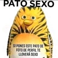 diego.te.lo.explica