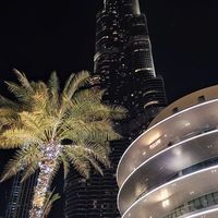 theworldisalwaysyours