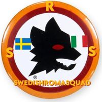 swedishromasquad
