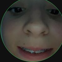 spam_oslr