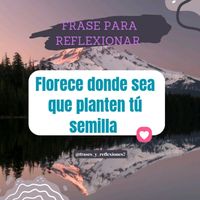 frases_y_reflexiones7